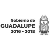 guadalupe 33